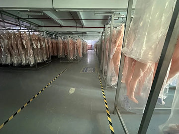 Body Warehouse